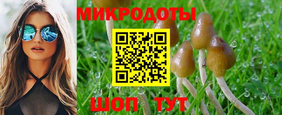 Тихорецк  закладка  Вход с VPN  Псилоцибиновые грибы прущие грибы 